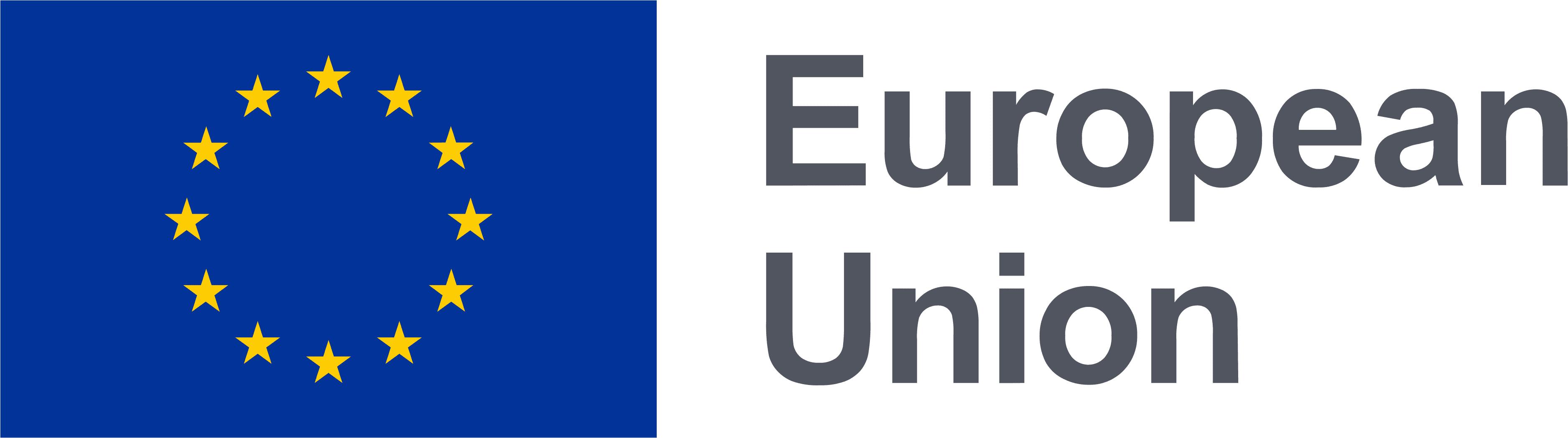 European Union Logo