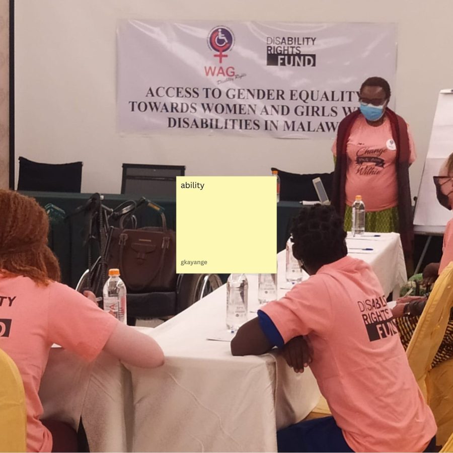 disability-rights-fund